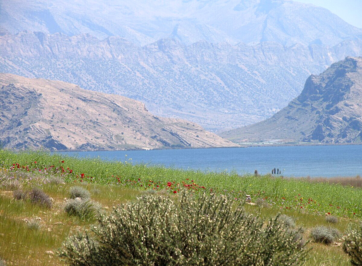 آب فروشی؛ قاتل خاموش پریشان | 1300 حلقه چاه حقابه پزیشان را میبلعد