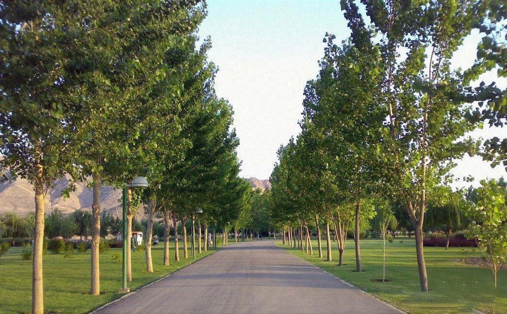 رکابزنی میان طبیعت