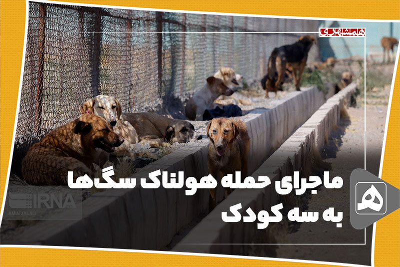 ماجرای حمله هولناک سگ‌ها به سه کودک