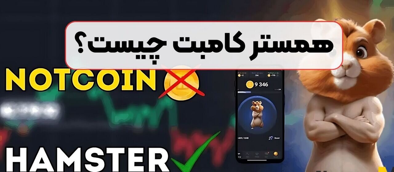 همستر