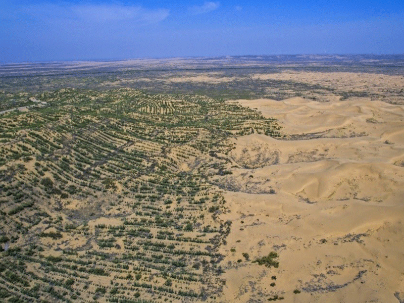 بیابان های ایران سبز می شود؟ | طرحهای دانش بنیان برای کشاورزی در زمین های لم یزرع