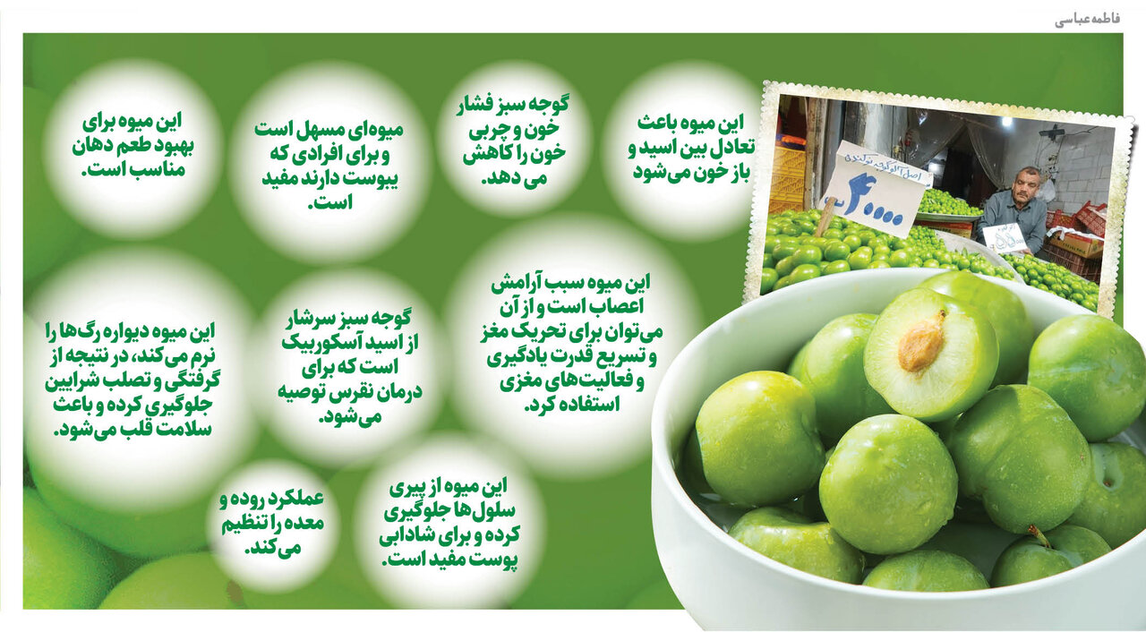 نوبرانه نوکنده ؛ اینجا شهر گوجه سبز ایران است