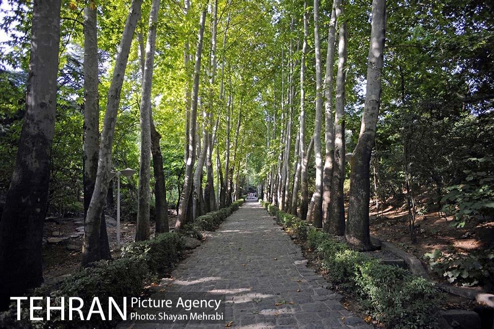 زیباترین جاهای دیدنی تهران در شبهای پاییزی + آدرس دقیق مراکز تفریحی