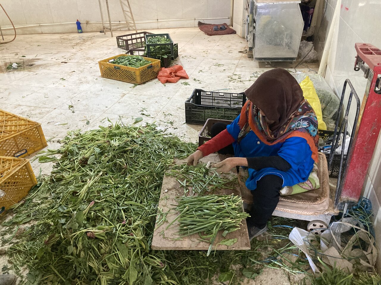 سبزی تر و تازه می خواهی به این روستا سفر کن