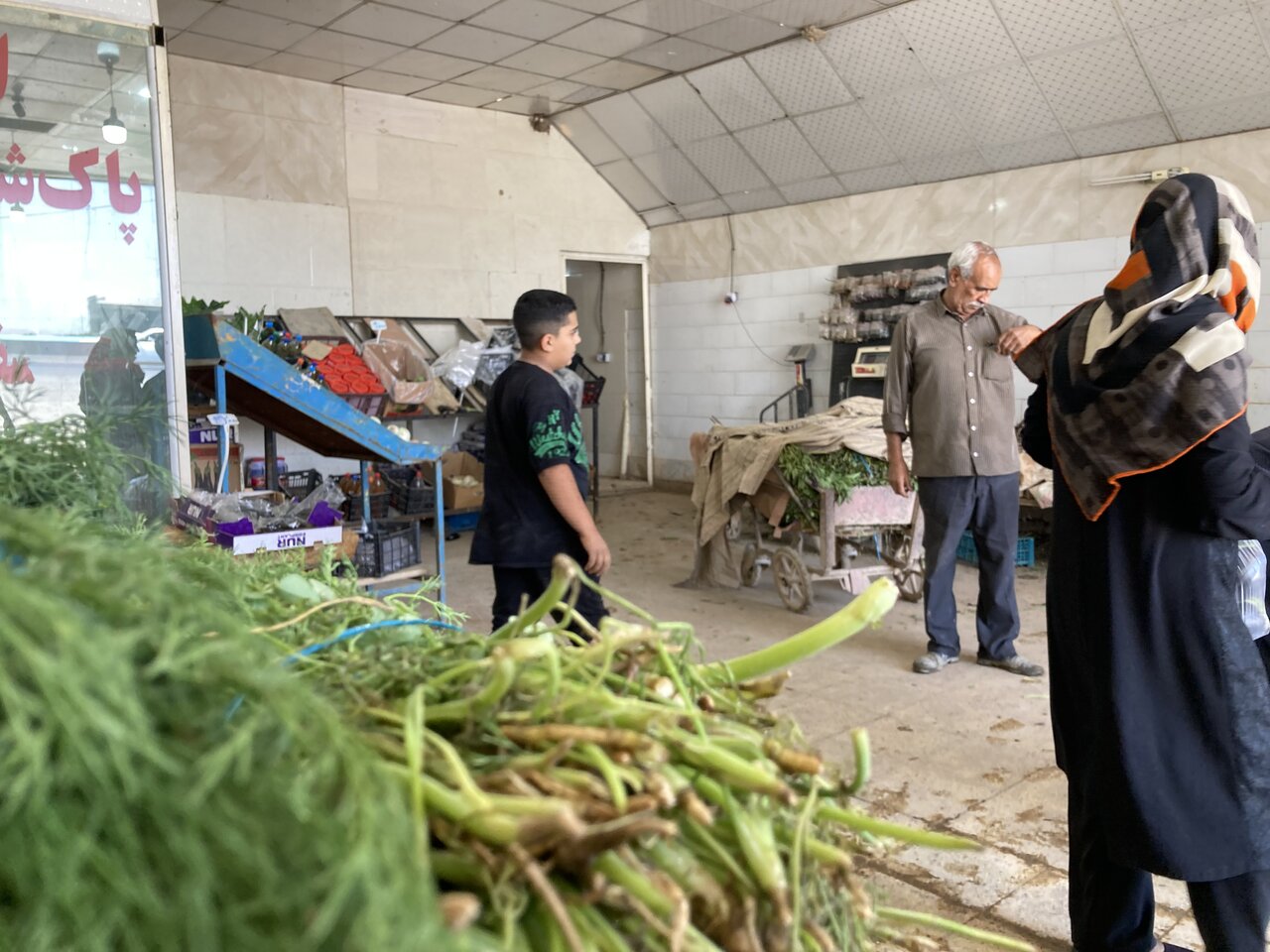 سبزی تر و تازه می خواهی به این روستا سفر کن