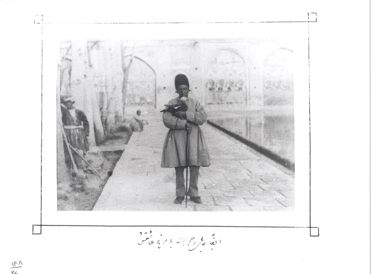 ناصرالدین شاه به چه حیواناتی علاقه داشت؟ | گزارش تصویری همشهری از حیوانات خانگی پادشاهان قاجار