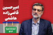 قاضی‌زاده هاشمی: باید کاری کنیم پاسپورت ایرانی با ارزش باشد | رشد اقتصادی کشور یک دهه منفی بود