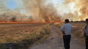 آتش سوزی وسیع در مراتع و مزارع کشاورزی شهرستان گیلانغرب | ویدئو