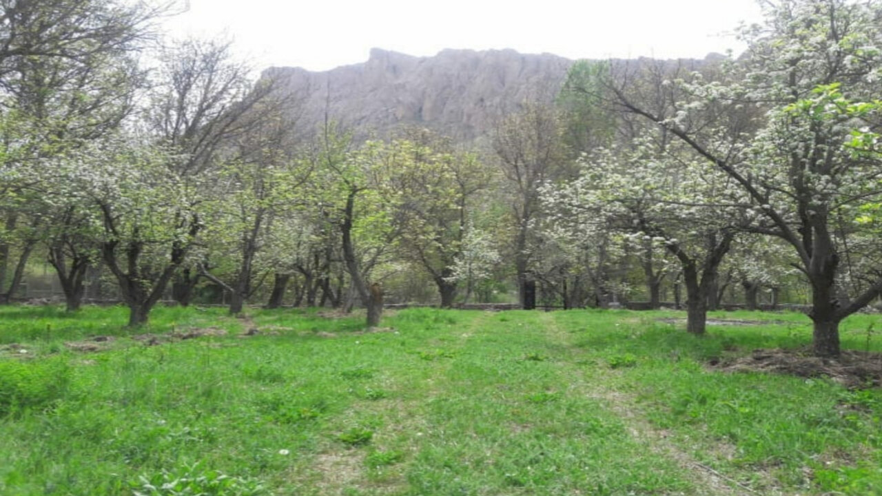 از طبیعت شفابخش تا تاریخ ۱۰۰۰ ساله در روستای خمده