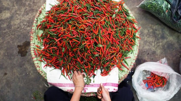 یک دلیل عجیب برای نخوردن غذاهای تند و فلفل چیلی ! چیلی