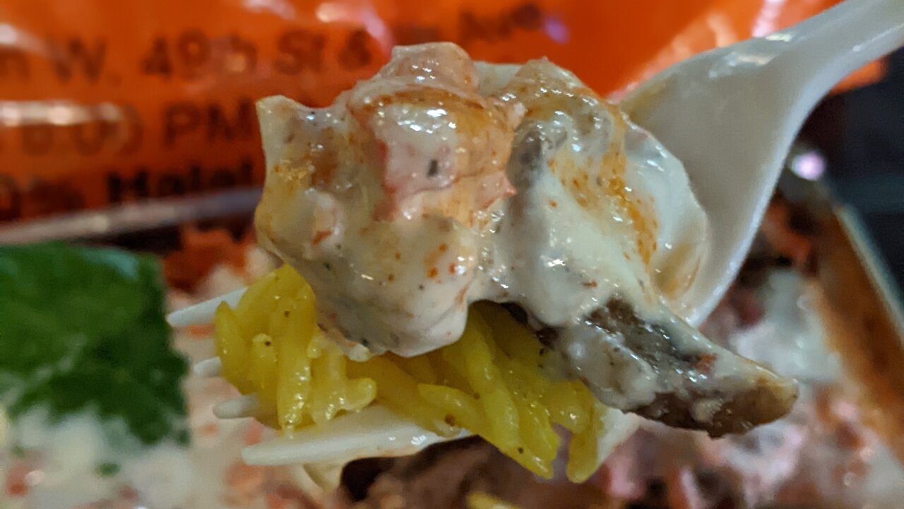 صف بلند حلالخوری در نیویورک | چرا شهروندان و توریست ها مدت ها برای غذای حلال انتظار می کشند؟