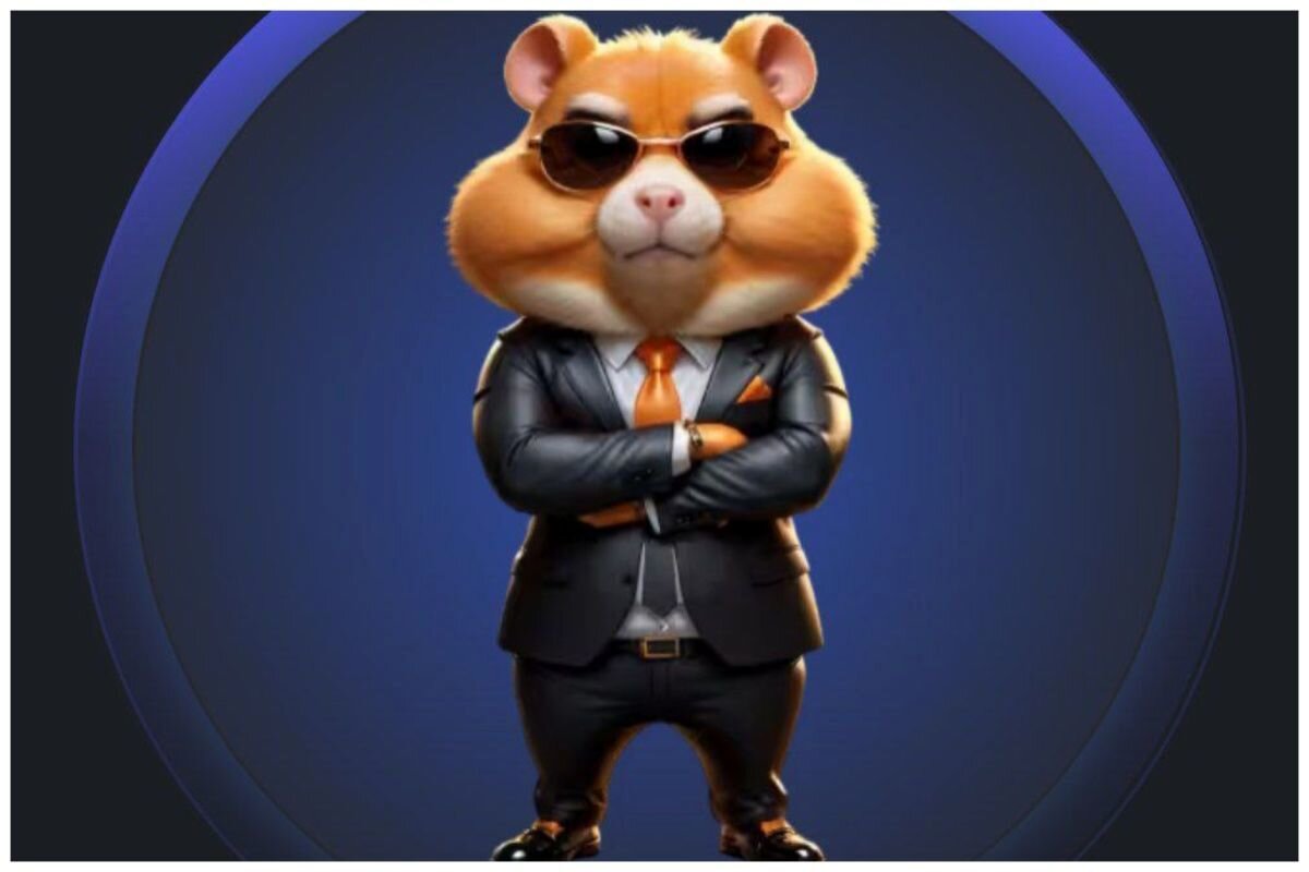 قیمت همستر مشخص شد! همستر