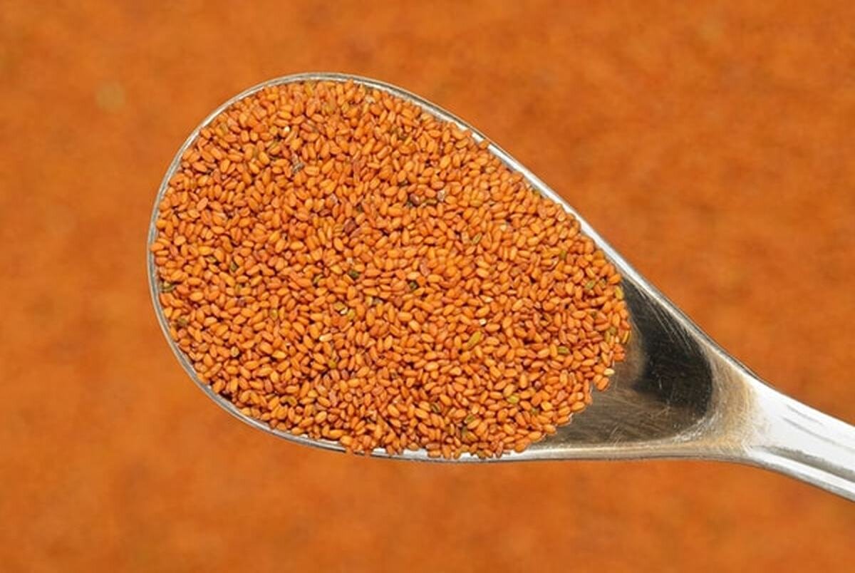 روش درست شستن خاکشیر چگونه است ؟ ؛ شستن خاکشیر به روش حرفه ای ها