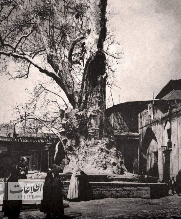 تصاویری دیدنی از امامزاده صالح(ع) ۸۰ سال پیش! | عکس