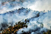 ۸ استان رکورد دار آتش سوزی در جنگل‌ و مرتع | پایش جنگل ها با «فانتوم» | هوش مصنوعی به کمک یگان حفاظت می آید