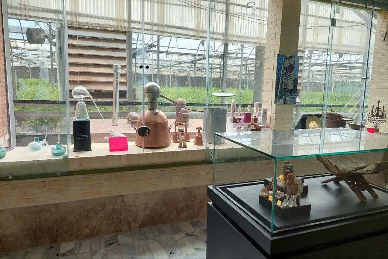 تماشای گنجینههای سبز در موزههای تخصصی