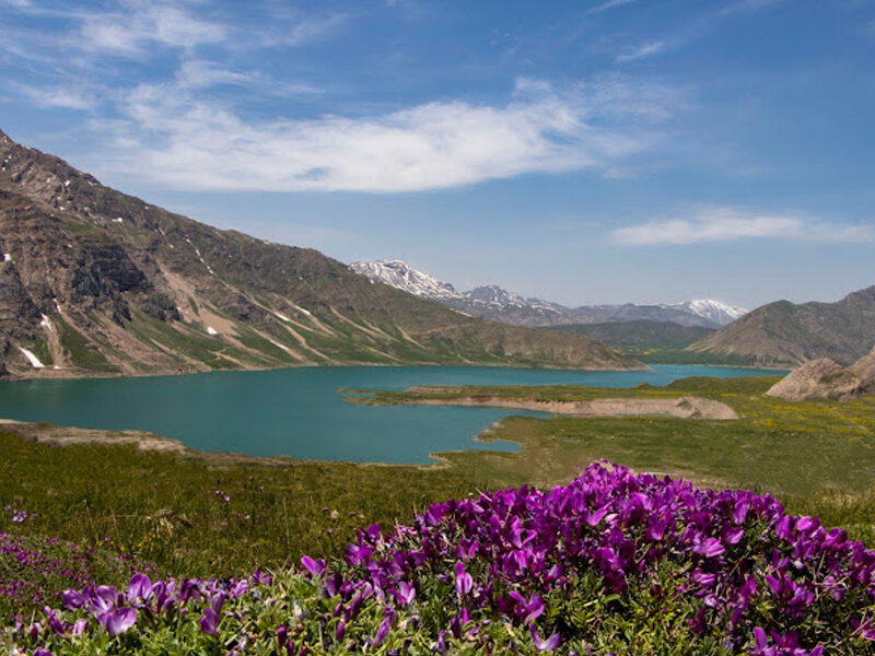 برای فرار از گرمای تهران به این شهر تاریخی پناه ببرید