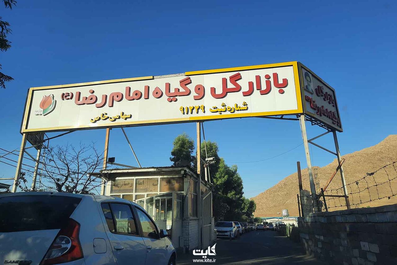 گشت و گذار در  ۹ بازار گل و گیاه پایتخت