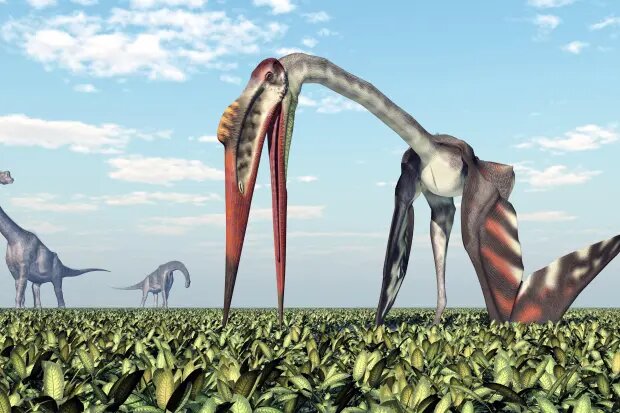 کشف گونه جدیدی از خزنده پرندههای ماقبل تاریخ | ترسناک با بالهایی به بزرگی یک زرافه