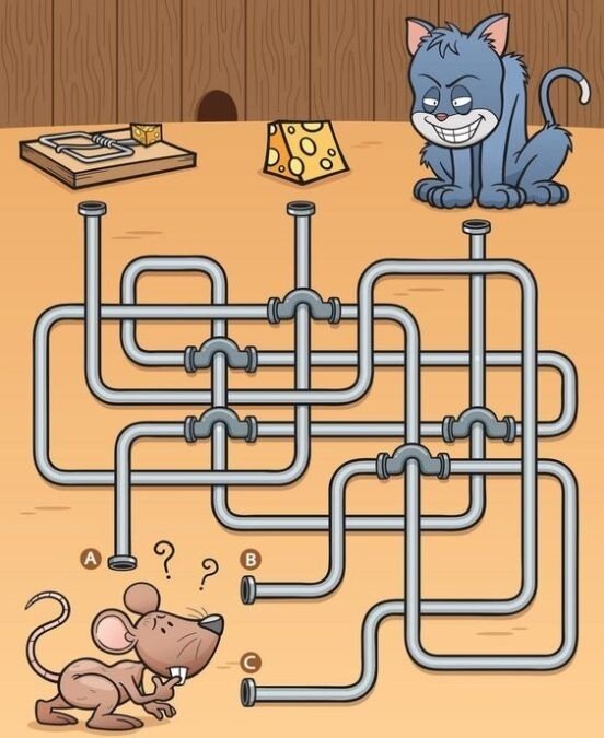 این موش را به پنیرش برسانید! ؛ معمای تصویری