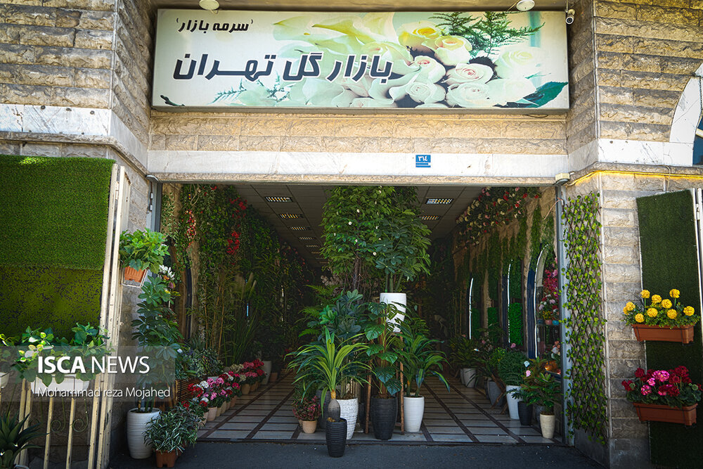 به این گلها آب ندهید!