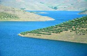 وضعیت آب ایران در تابستان ؛ ۵ سد بزرگ پر شدند | سایر سدهای کشور در چه شرایطی هستند؟