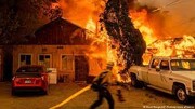 آتش به جان جنگل‌های لس‌آنجلس افتاد + ویدئو  | ۱۲۰۰ نفر خانه‌های خود را تخلیه کردند