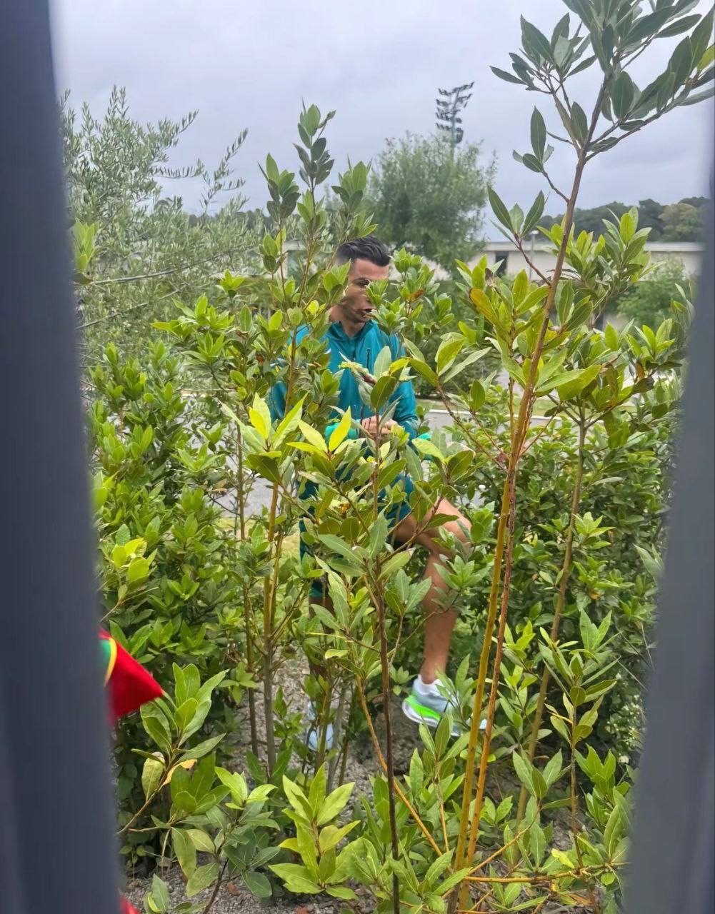 اقدام تحسین برانگیزکریستیانو رونالدو مقابل طرفدارنش + عکس