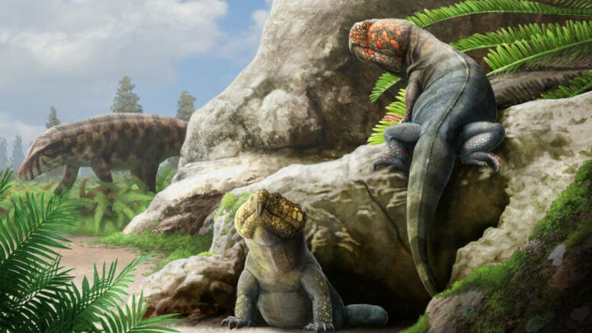 بازیابی فسیل ۲۵۰ میلیون ساله با فناوری مدرن