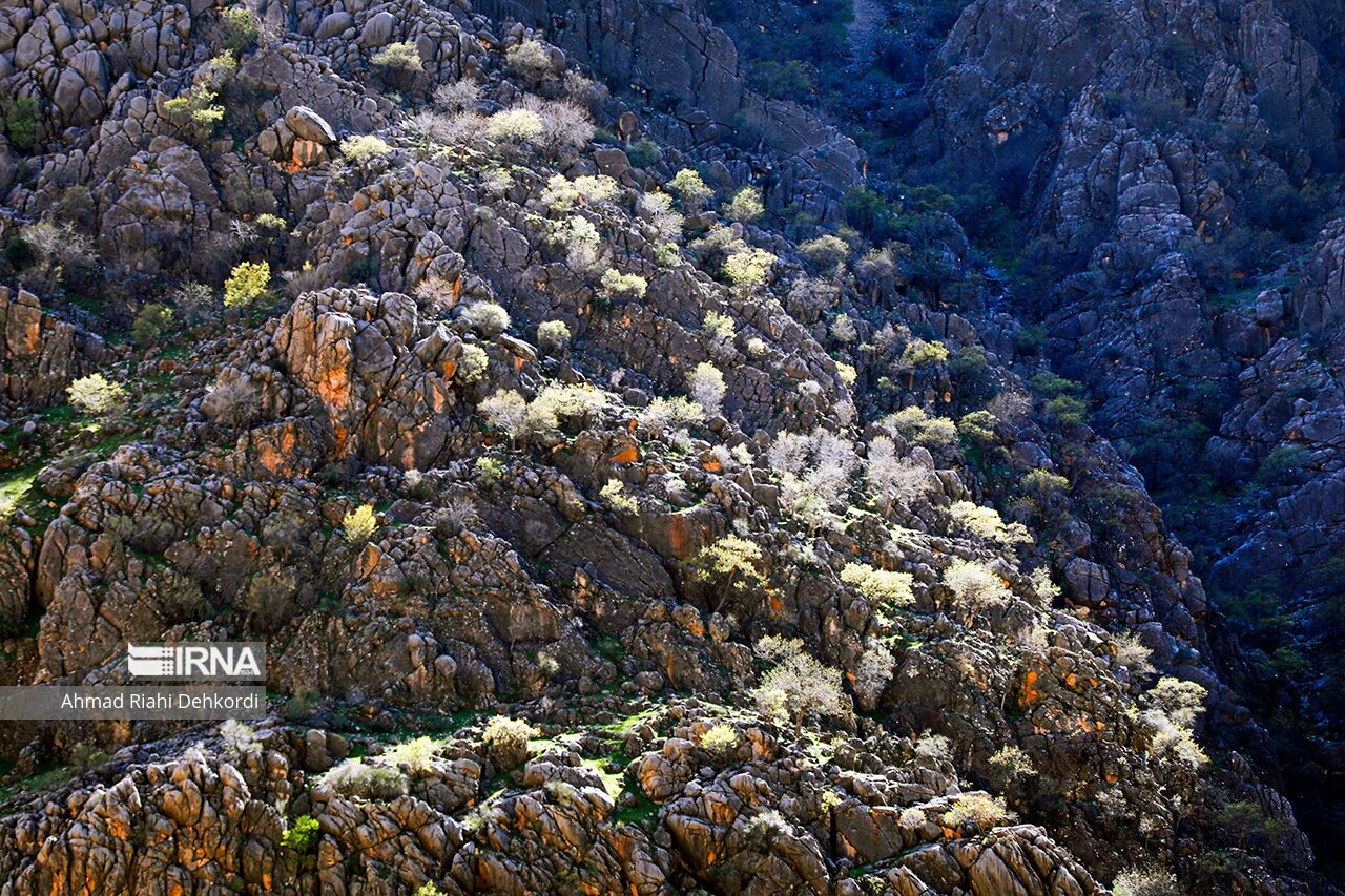 دره عشق ؛ جایی دیدنی در دل چهارمحال و بختیاری + تصاویر