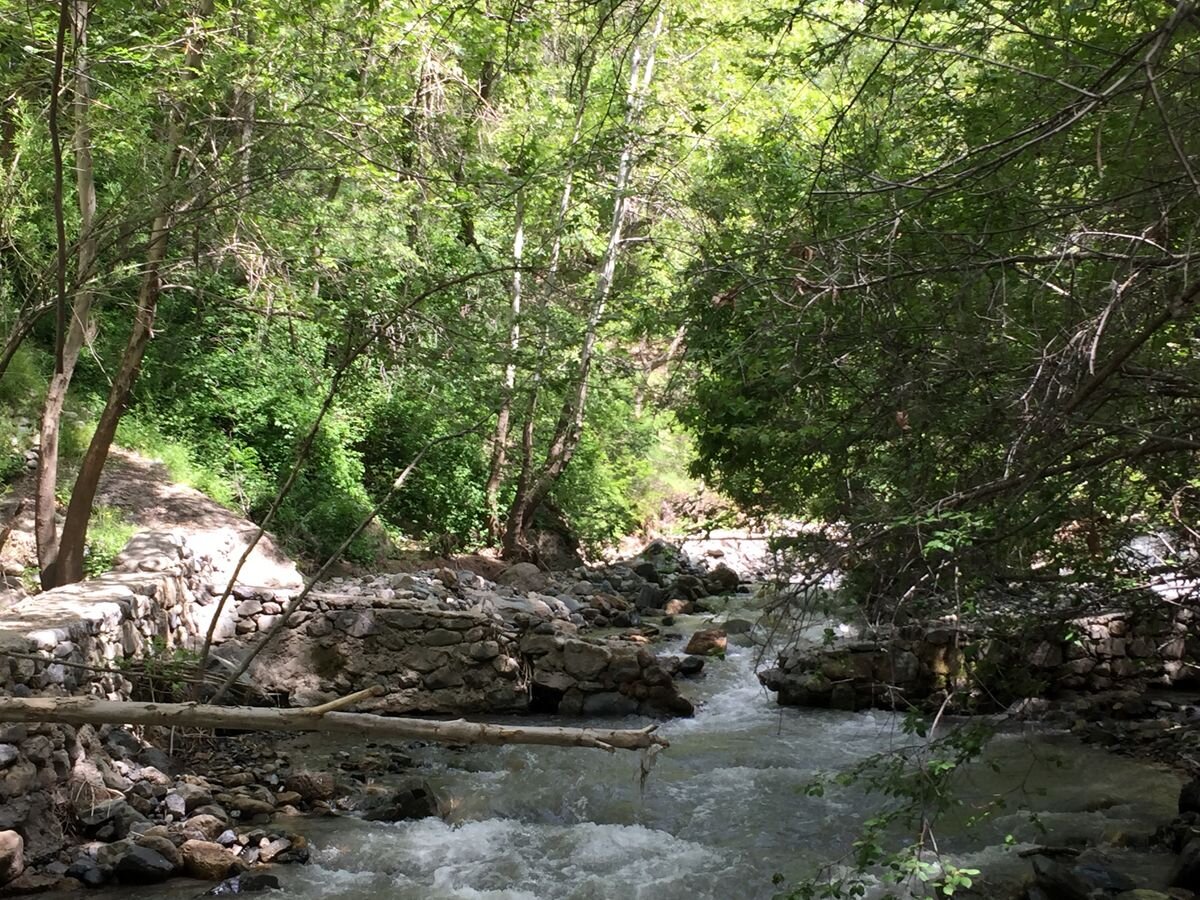 از آبتنی تا کمپ زدن و ماهیگیری در کنار رودخانههای غرب پایتخت