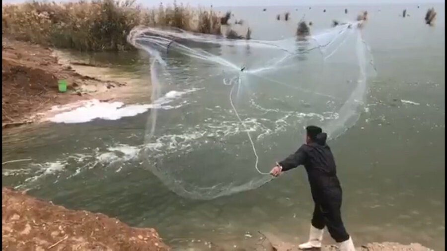 گردش بدون دغدغه کنار رود ها