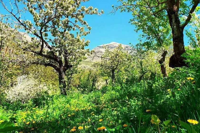 سفر یک روزه اطراف تهران ؛ دشت هویج کجای تهران است ؟ | بهترین زمان برای سفر به دشت هویج