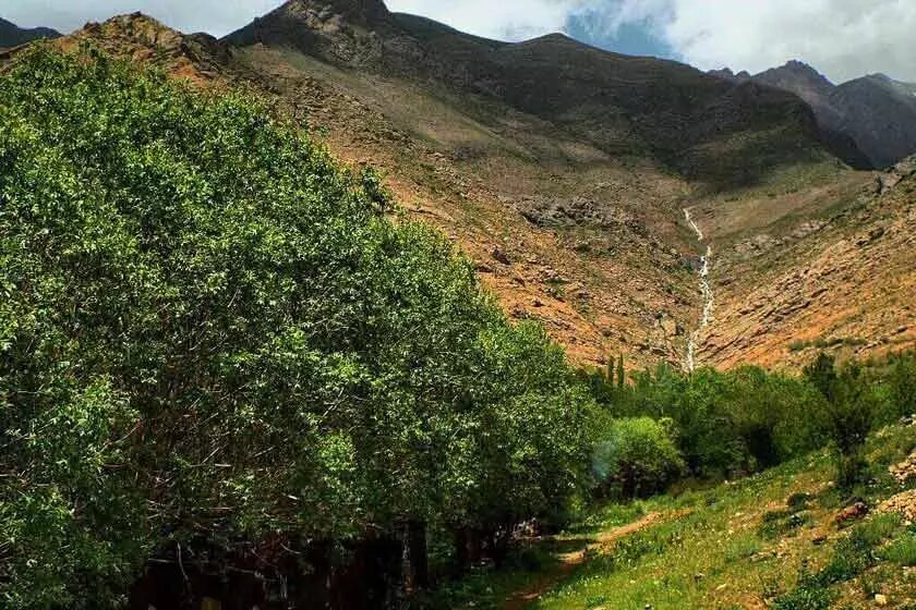 سفر یک روزه اطراف تهران ؛ دشت هویج کجای تهران است ؟ | بهترین زمان برای سفر به دشت هویج