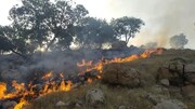 مهار آتش‌سوزی در بخشی از جنگل‌های پلدختر | انجام ۲۰ سورتی پرواز
