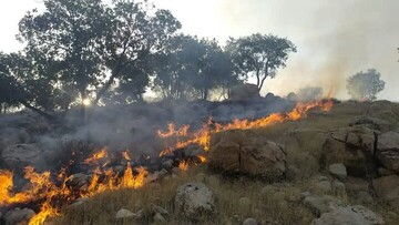 مهار آتش‌سوزی در بخشی از جنگل‌های پلدختر | انجام ۲۰ سورتی پرواز