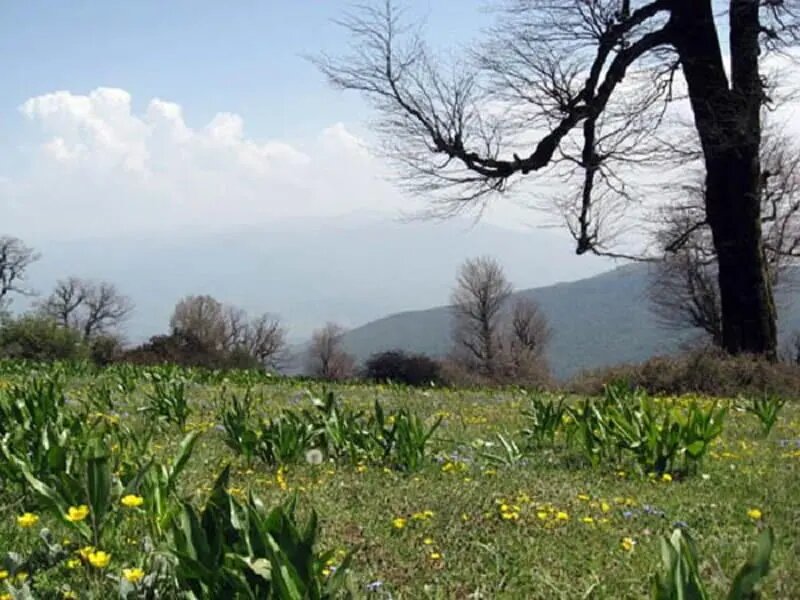 برای سفر بر فراز ابرها به این ییلاق بروید