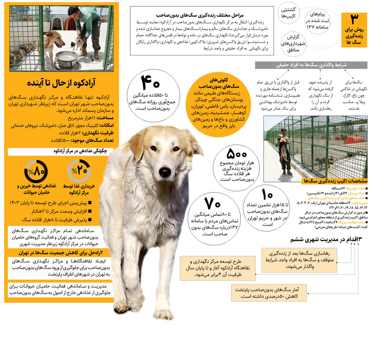 ظرفیت مرکز نگهداری و نقاهتگاه آرادکوه، تا پایان سال به ۸هزار قلاده میرسد