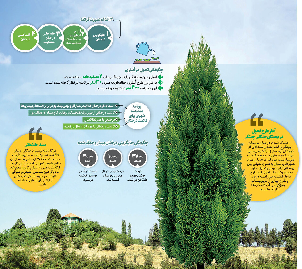 کاشت بیش از ۴۰۰۰ درخت جدید در چیتگر