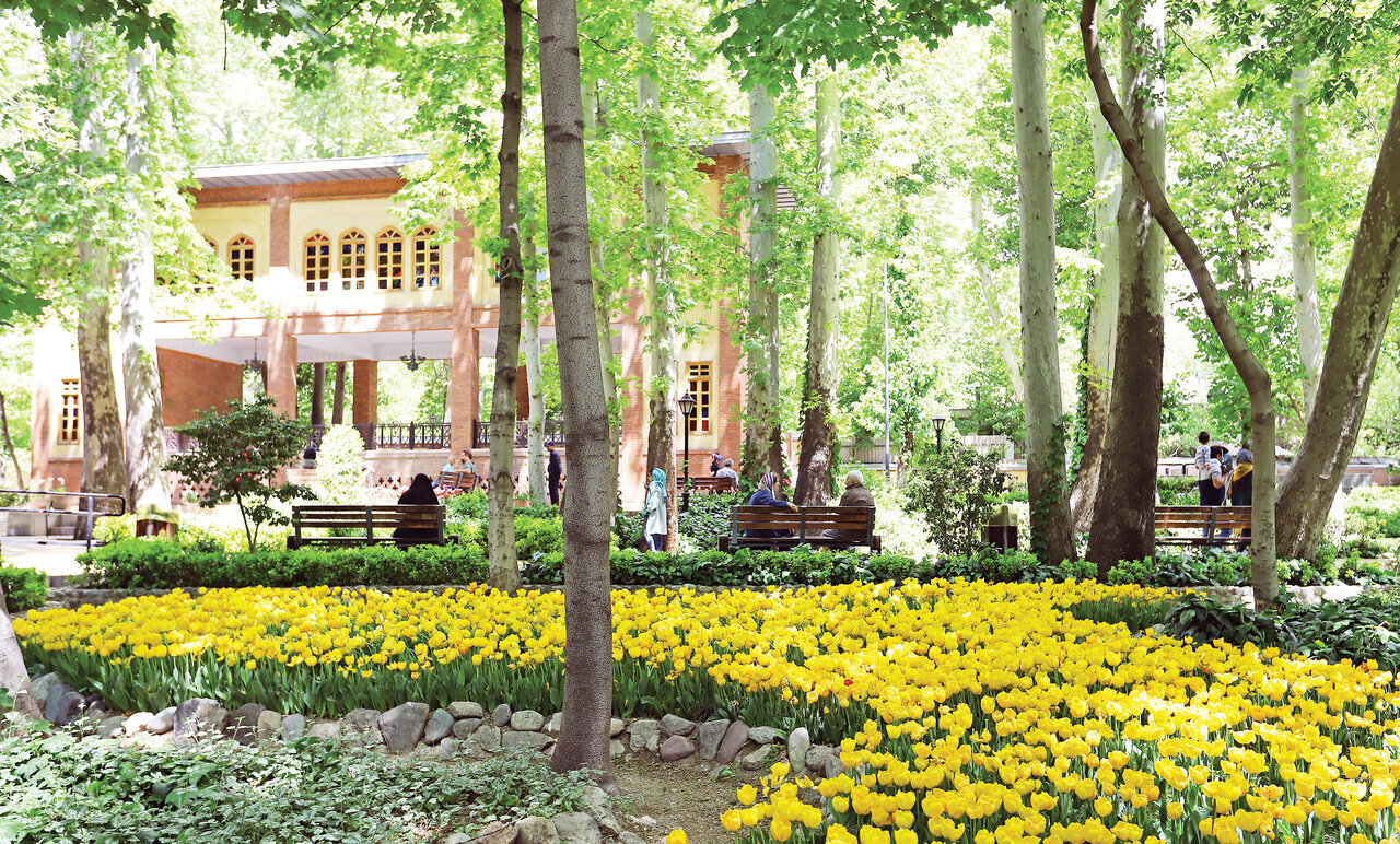 بانی مدرسه عالی دختران در ونک که بود؟