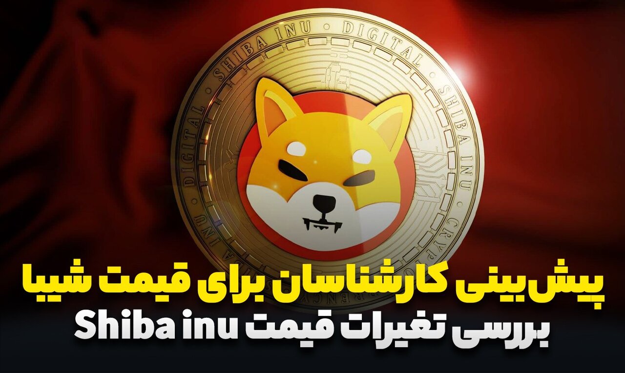 قیمت شیبا در سال ۲۰۲۴، کارشناسان چه میگویند؟