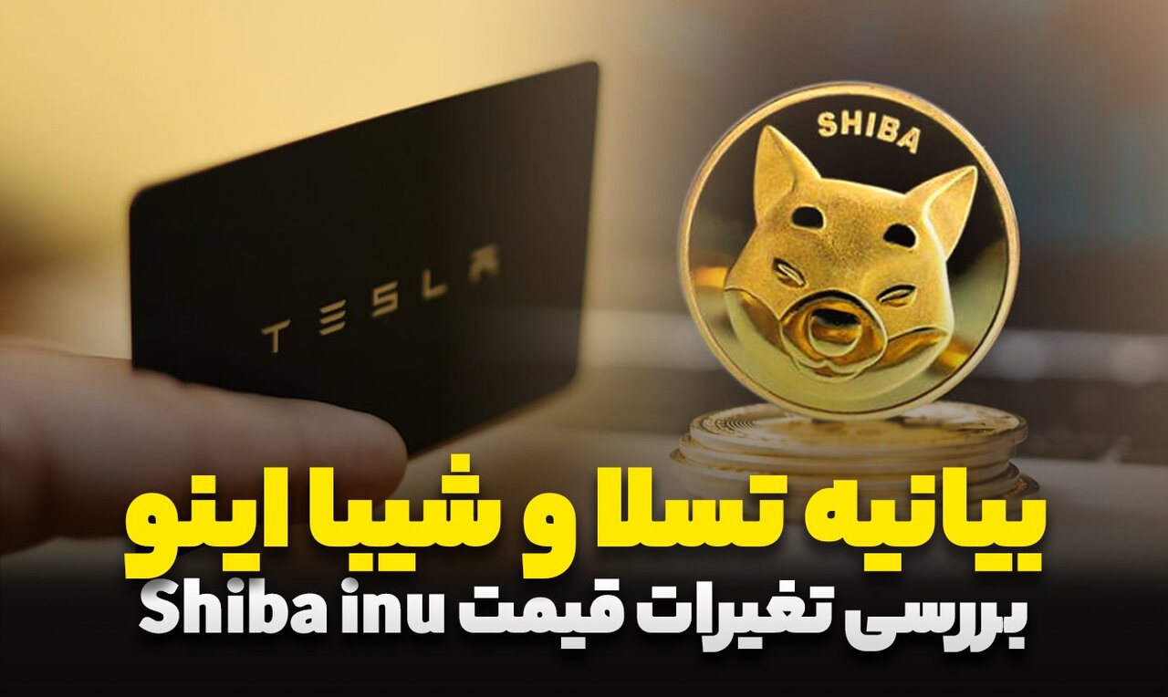 قیمت شیبا در سال ۲۰۲۴، کارشناسان چه میگویند؟