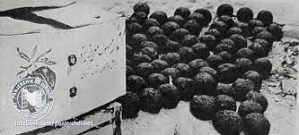 زمستان گرم از تابستان مهیا میشد | گلوله کردن ذغال؛ اشتغال تابستانه زنان تهران