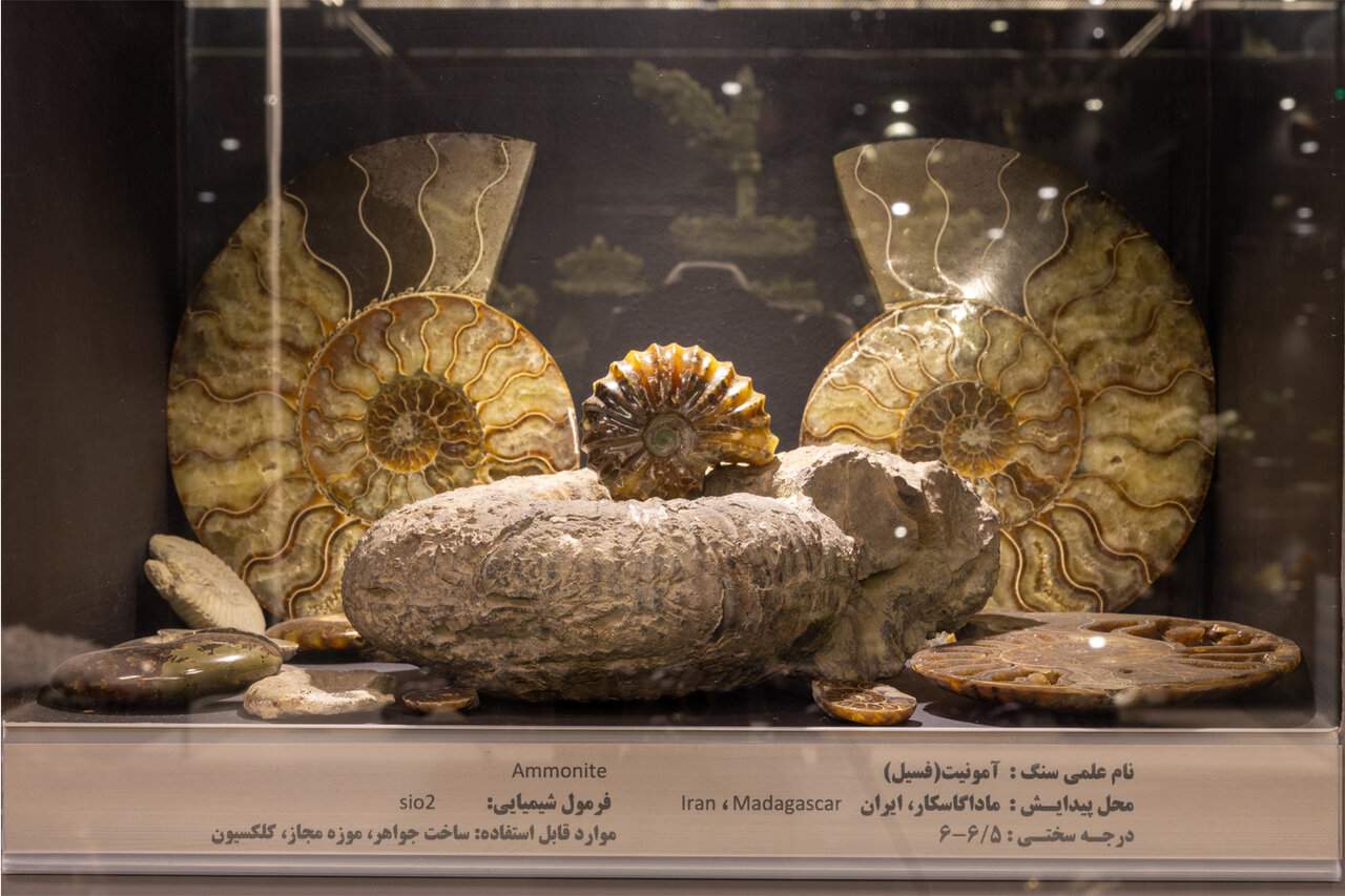 سفر به دنیای سنگها