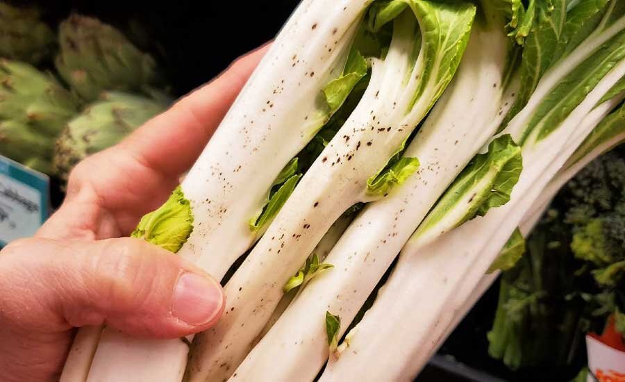 طرز تهیه بورانی کنگر و ماست برای ۴ نفر ؛ فوت و فنهای خوشمزه شدن بورانی کنگر | چرا بورانی کنگر ماست شل میشود؟