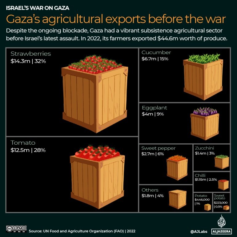 روایت پیش از جنگ «خانه خرما» و «سرزمین توت فرنگی»