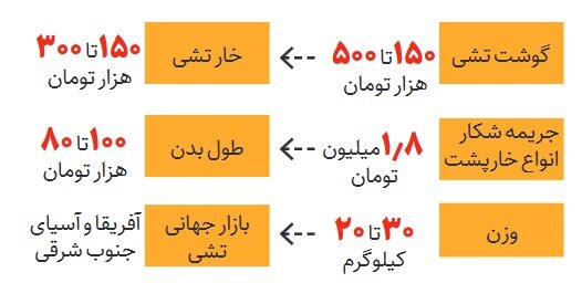 سوداگران به تشی هم رحم نمیکنند | یک کیلو گوشت خارپشت 500 هزار تومان