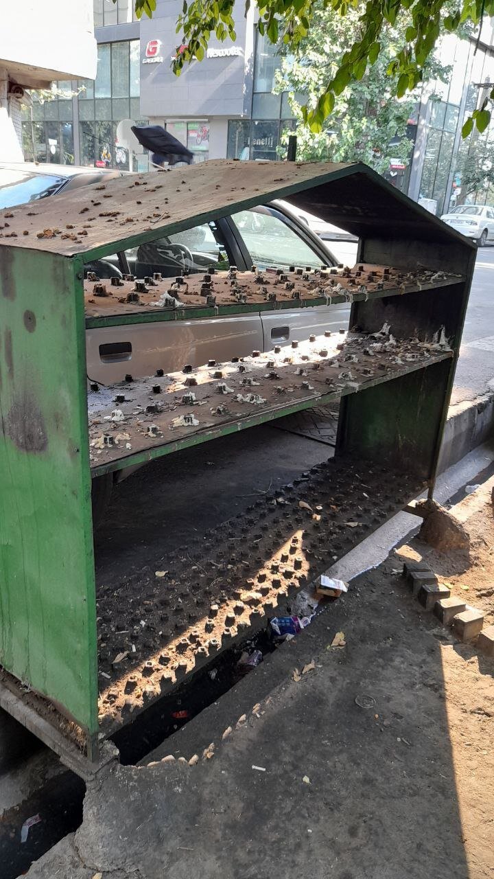 راز توقف ماشینهای گرانقیمت مقابل سقاخانه قلمستان