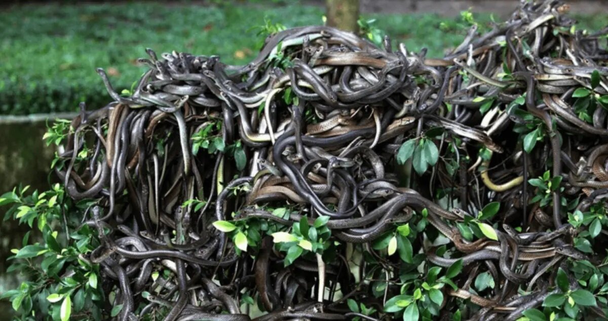 تصاویر | ورود به این ۶ منطقه ممنوع است