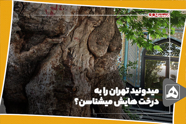 میدونید تهران رو به درخت هاش میشناسن؟